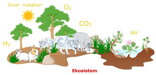 Pengertian Ekosistem, Komponen, Macam-Macam dan Contoh Ekosistem